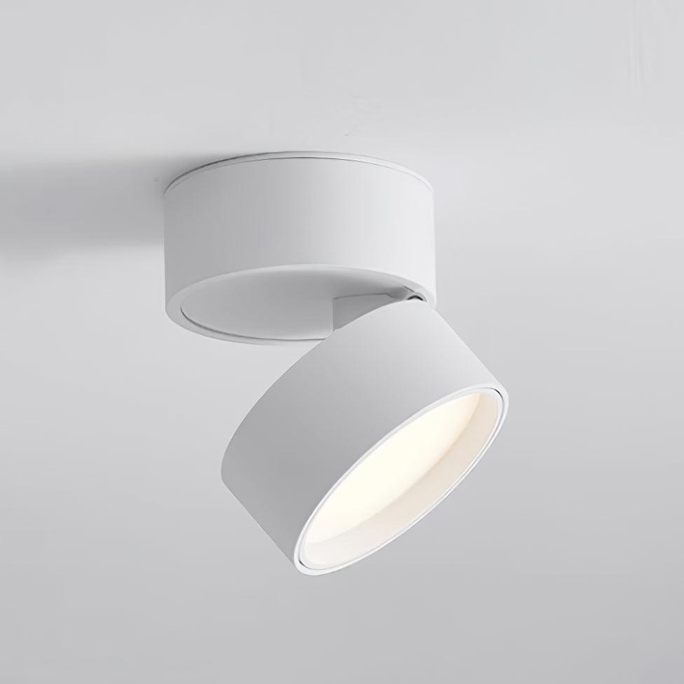 Energieeffiziente und moderne LumiLuxe LED-Deckenleuchte – Für zeitgenössische Designs.