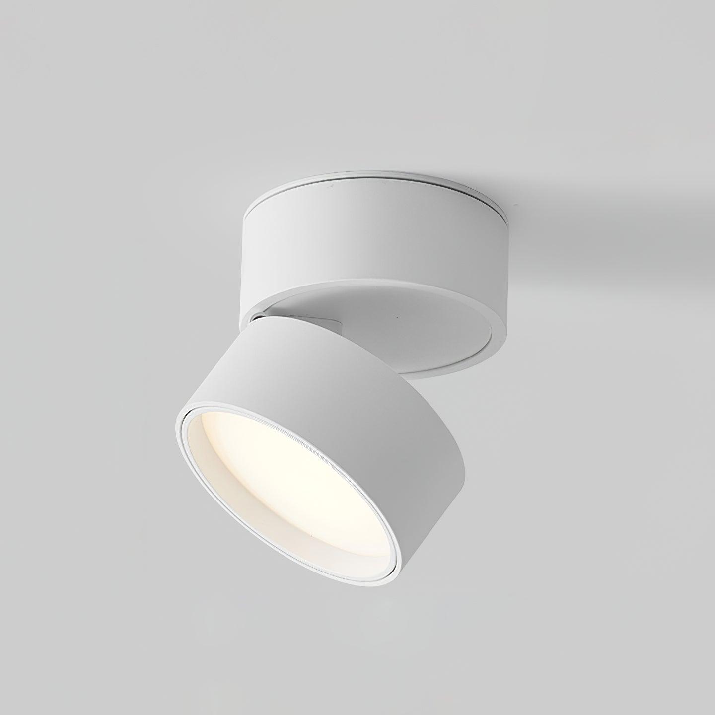 Moderne LumiLuxe LED-Deckenleuchte – Die ideale Wahl für zeitgenössische Interieurs.