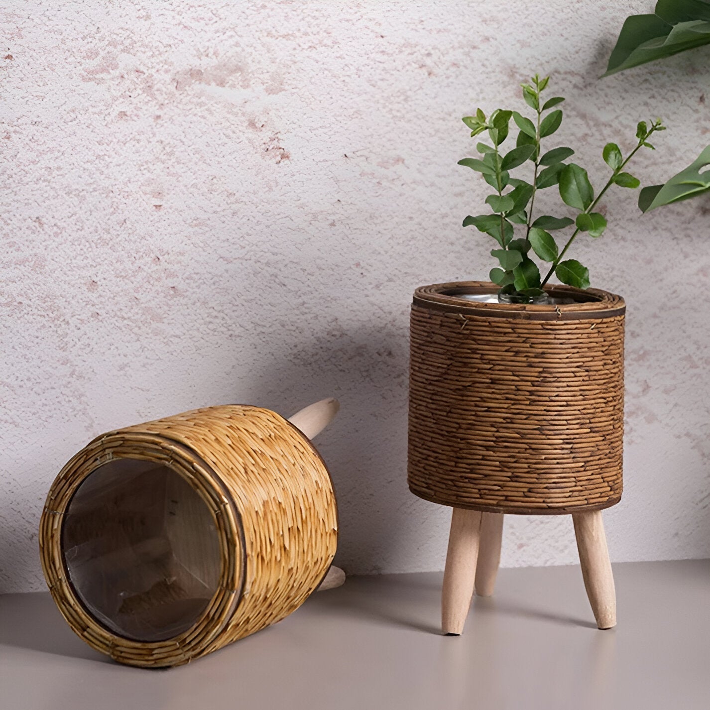 Handgefertigte Pflanzgefäße EcoChic mit Holzbeinen, perfekt zum stilvollen Präsentieren von Zimmerpflanzen.