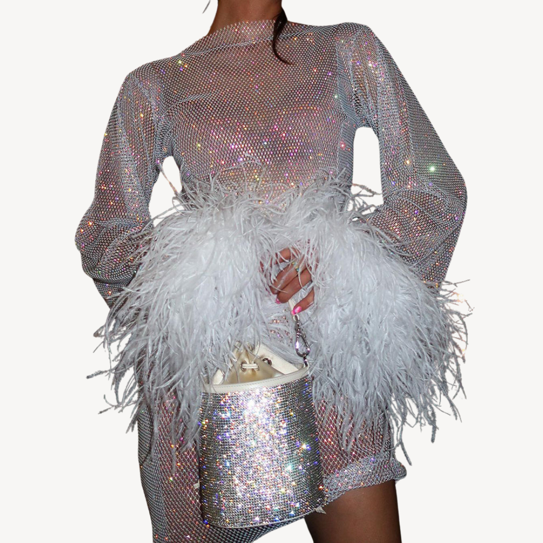 Damenkleid Mit Pailletten Und Mesh Design | Abendkleid Mit Federdetails | Neujahr