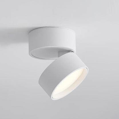 Energieeffiziente und moderne LumiLuxe LED-Deckenleuchte – Für zeitgenössische Designs.