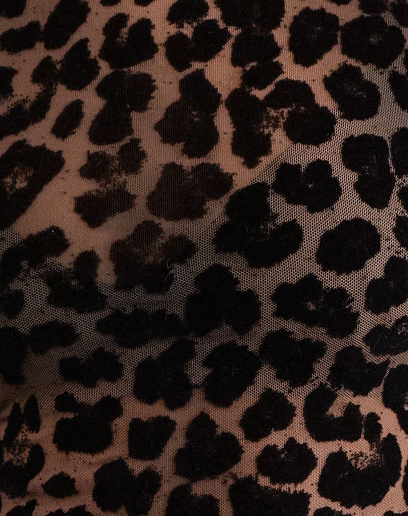 Damen Transparentes Top Mit Leopardenmuster | Schwarz