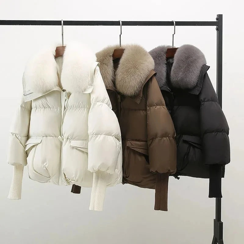 Gepolstert Daunenjacke Damen | Gefütterter Kragen