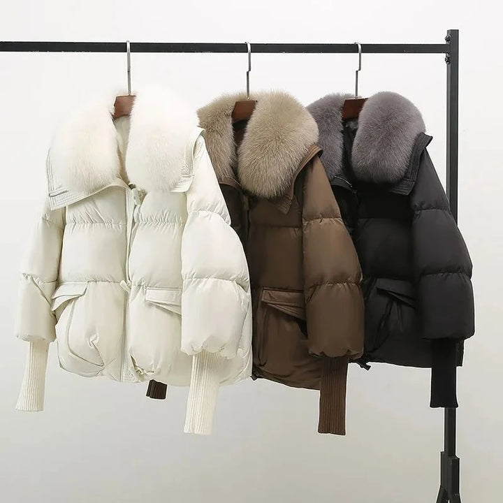 Gepolstert Daunenjacke Damen | Gefütterter Kragen