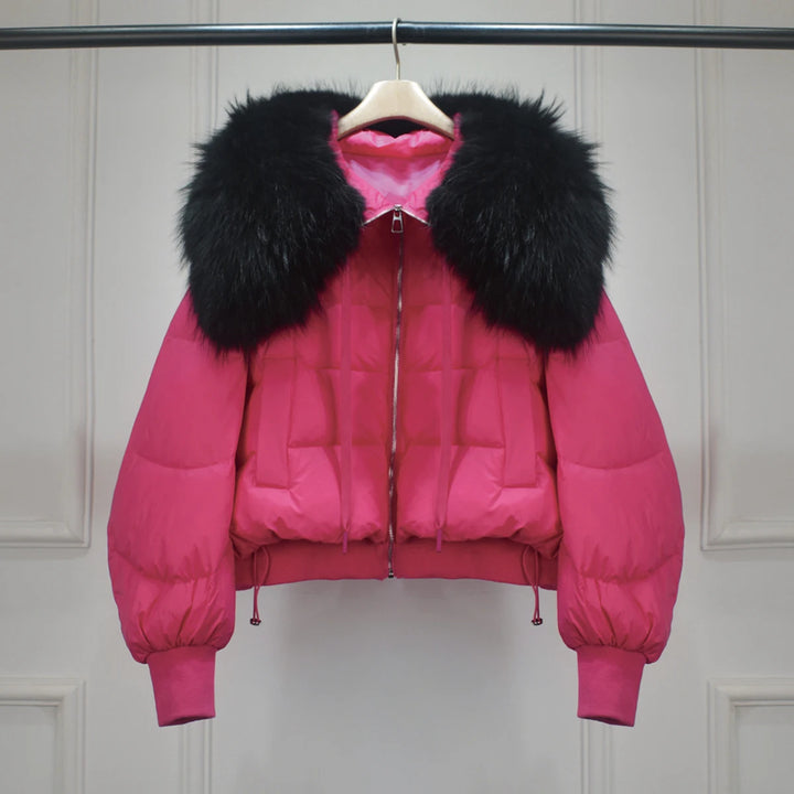 Kurz Daunenjacke Damen | Stilvoller Kragen