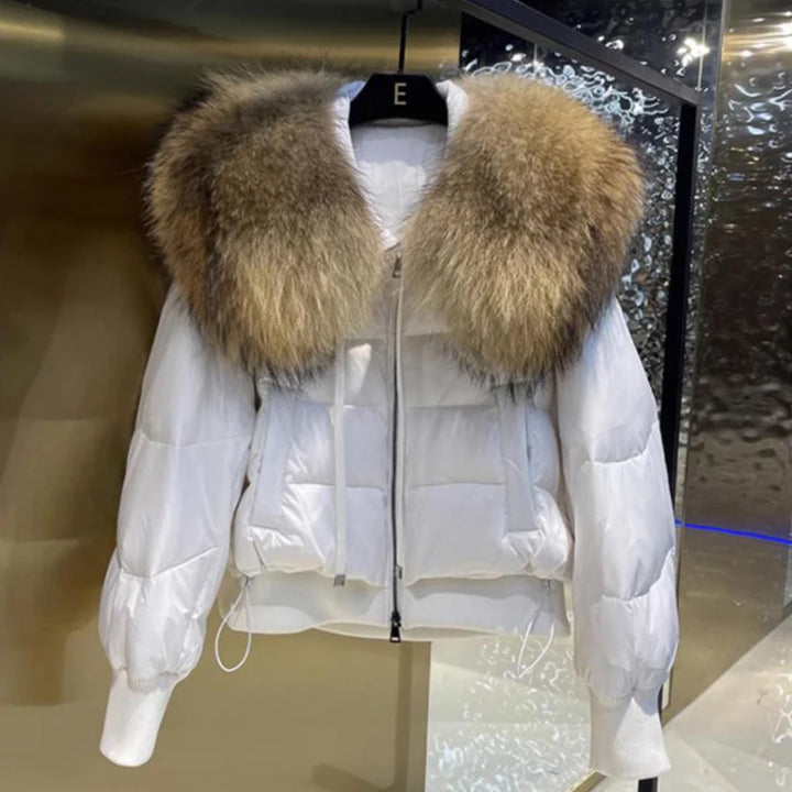 Kurz Daunenjacke Damen | Stilvoller Kragen