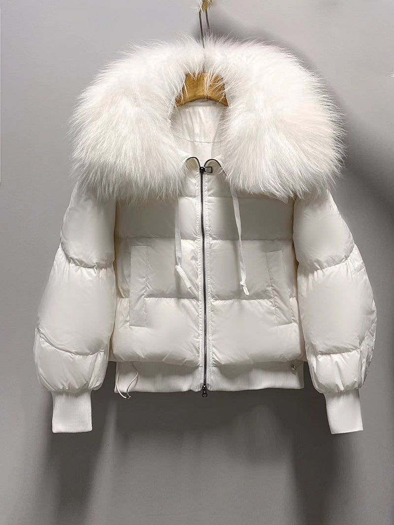 Kurz Daunenjacke Damen | Stilvoller Kragen
