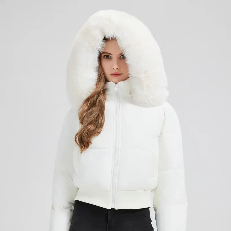 Kurz Gepolstert Daunenjacke Damen | Mit Kapuze