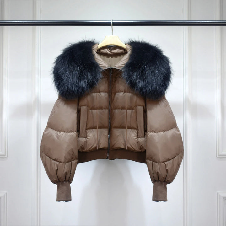 Kurz Daunenjacke Damen | Stilvoller Kragen