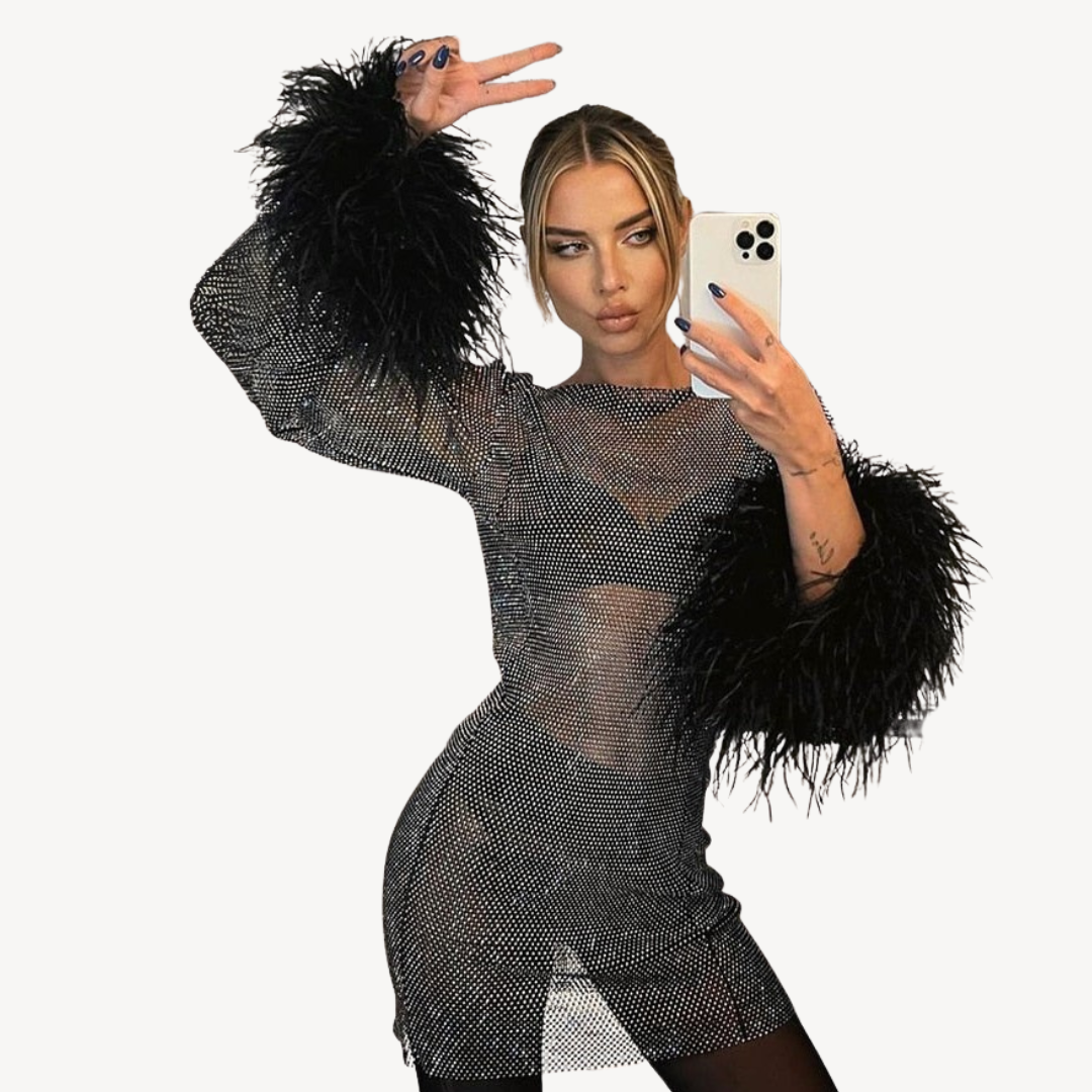 Damenkleid Mit Pailletten Und Mesh Design | Abendkleid Mit Federdetails | Neujahr