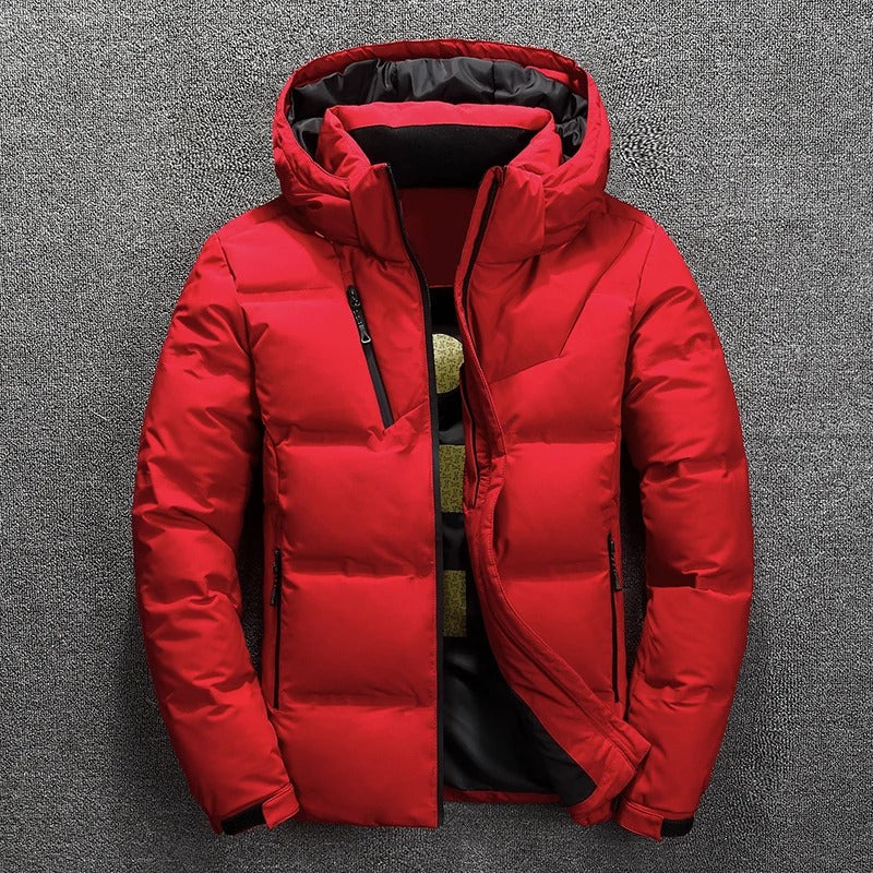 Herren-Winter-Daunenjacke mit Kapuze | Reißverschluss